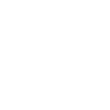 Y Quantum